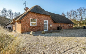 Amazing Home In Blåvand With Kitchen